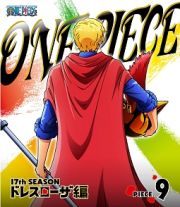 ＯＮＥ　ＰＩＥＣＥ　ワンピース　１７ｔｈシーズン　ドレスローザ編　ｐｉｅｃｅ．９