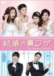 結婚の裏ワザ　ＤＶＤ－ＢＯＸ１