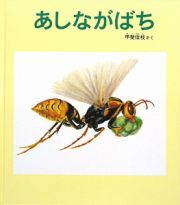 あしながばち