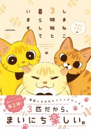 しまねこ３姉妹と暮らしています　深まるきずな編