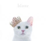 ＢＥＳＴ　ＳＥＬＥＣＴＩＯＮ　“ｂｌａｎｃ”（Ｂ）