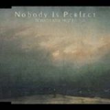 ＮＯＢＯＤＹ　ＩＳ　ＰＥＲＦＥＣＴ／