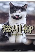 猫川柳　ネコダマシイ