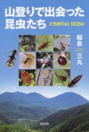 山登りで出会った昆虫たち