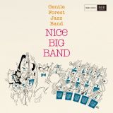 Ｎｉｃｅ　Ｂｉｇ　Ｂａｎｄ