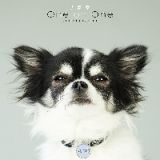 犬塚愛　Ｏｎｅ　ｏｎ　Ｏｎｅ　Ｃｏｌｌａｂｏｒａｔｉｏｎ