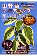 山野草マニアックス　斑入り植物・ウラシマソウ・富貴蘭