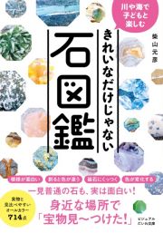 きれいなだけじゃない石図鑑　川や海で子どもと楽しむ