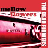 ｍｅｌｌｏｗ　ｆｌｏｗｅｒｓ