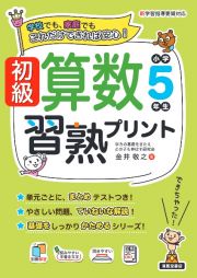 初級算数習熟プリント　小学５年生