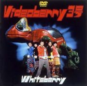 Ｖｉｄｅｏｂｅｒｒｙ　３号