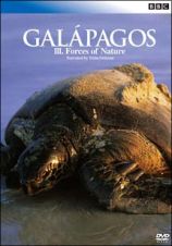 ＢＢＣ　ガラパゴス　ＩＩＩ．大自然の偉大な力
