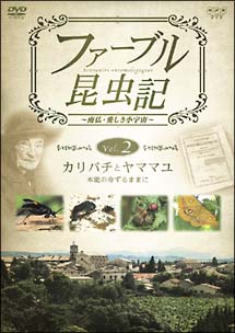 ファーブル昆虫記 カリバチとヤママユ 本能の命ずるままに 映画の動画 Dvd Tsutaya ツタヤ