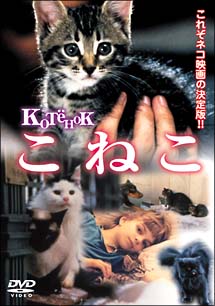 こねこ キッズの動画 Dvd Tsutaya ツタヤ