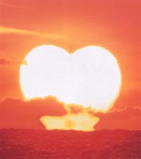 バラッド 3 The Album Of Love サザンオールスターズのcdレンタル 通販 Tsutaya ツタヤ