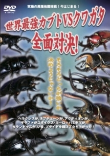 Amazon Co Jp 世界最強虫王決定戦 名勝負ベスト30 Dvd Dvd ブルーレイ 趣味 趣味