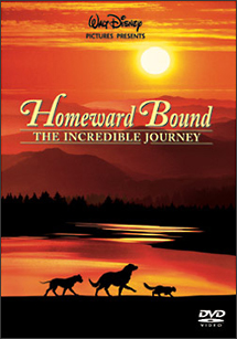 奇跡の旅 キッズの動画 Dvd Tsutaya ツタヤ