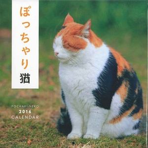 ぽっちゃり猫カレンダー 16 カレンダー Tsutaya ツタヤ