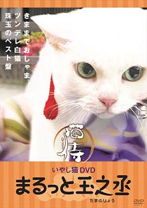 いやし猫dvd 猫侍 まるっと玉之丞 ドラマの動画 Dvd Tsutaya ツタヤ