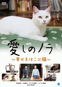 愛しのノラ 幸せをはこぶ猫 映画の動画 Dvd Tsutaya ツタヤ