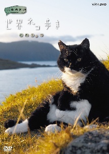 岩合光昭の世界ネコ歩き ノルウェー 映画の動画 Dvd Tsutaya ツタヤ