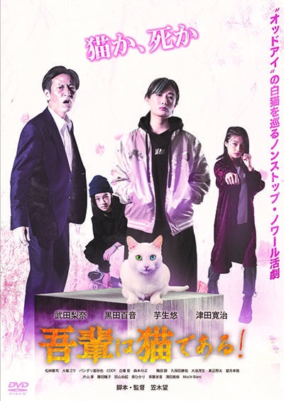 吾輩は猫である 映画の動画 Dvd Tsutaya ツタヤ